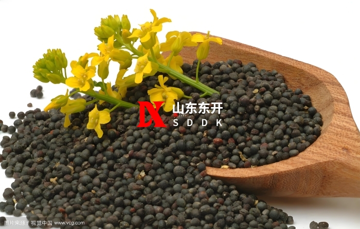 油菜籽气力输送