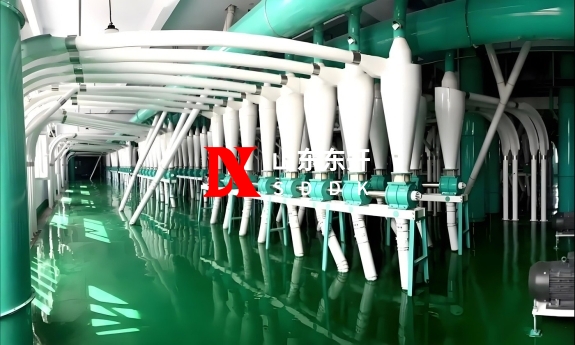 53336b1d-658c-4e40-8058-e6d1a84c3d9b