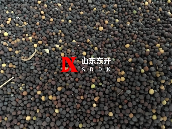 9f4185f5-484d-4c12-99e9-2b3fa7f9cdd2